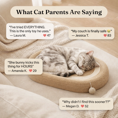 Whiskers™  Scratch n' Nap