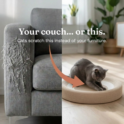 Whiskers™  Scratch n' Nap