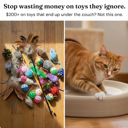 Whiskers™  Scratch n' Nap