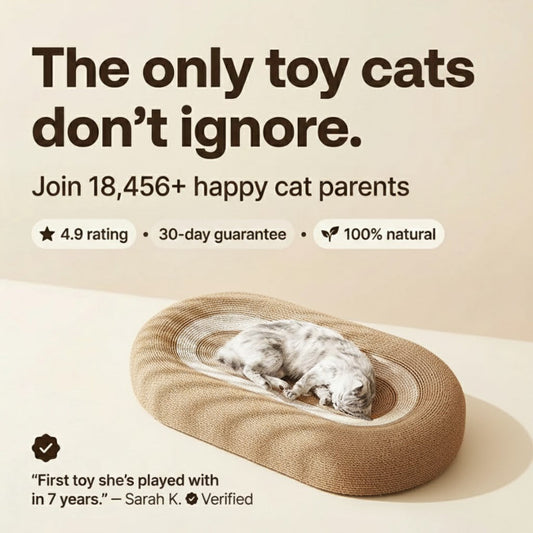 Whiskers™  Scratch n' Nap